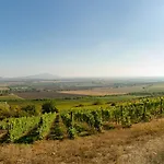 Angyal Boraszat Es Panzio Rátka