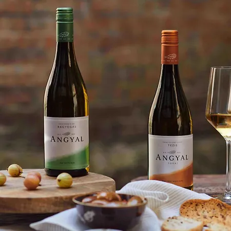 Angyal Boraszat Es Panzio Bed & Breakfast