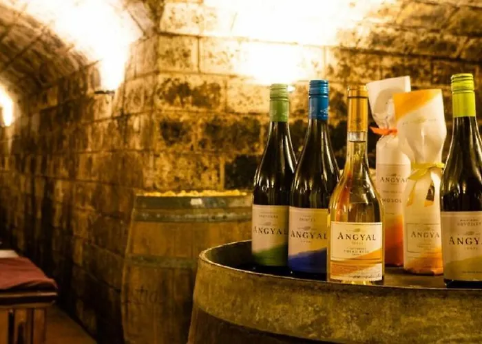 住宿加早餐酒店 Angyal Boraszat Es Panzio 3*